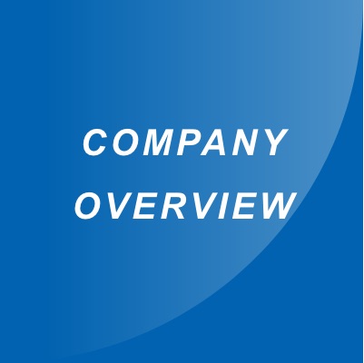 COMPANY OVERVIEW